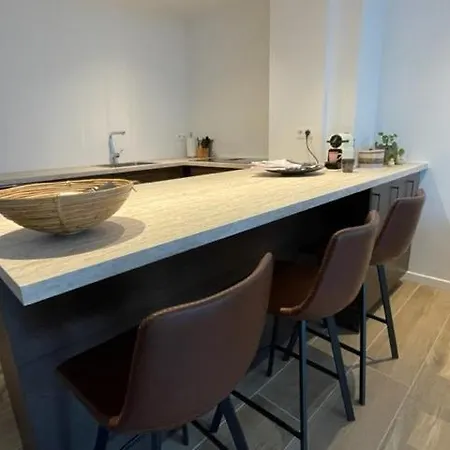 Sunny Seaview Apartment Ostend